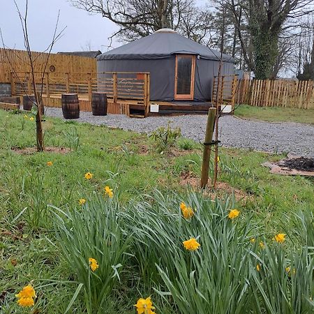 Hotel The Snowdrop Galway Esterno foto