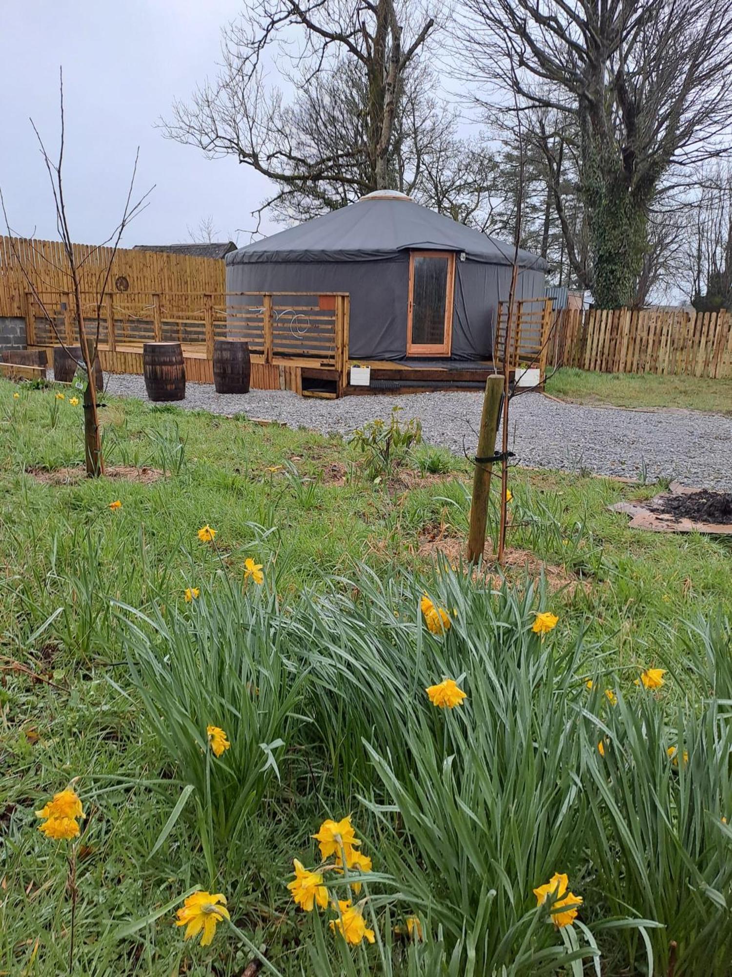 Hotel The Snowdrop Galway Esterno foto